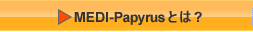 MEDI-PapyrusƂ́H